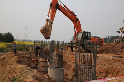 东坡区成立保障专组，为项目建设“满血复活”注入强劲动力